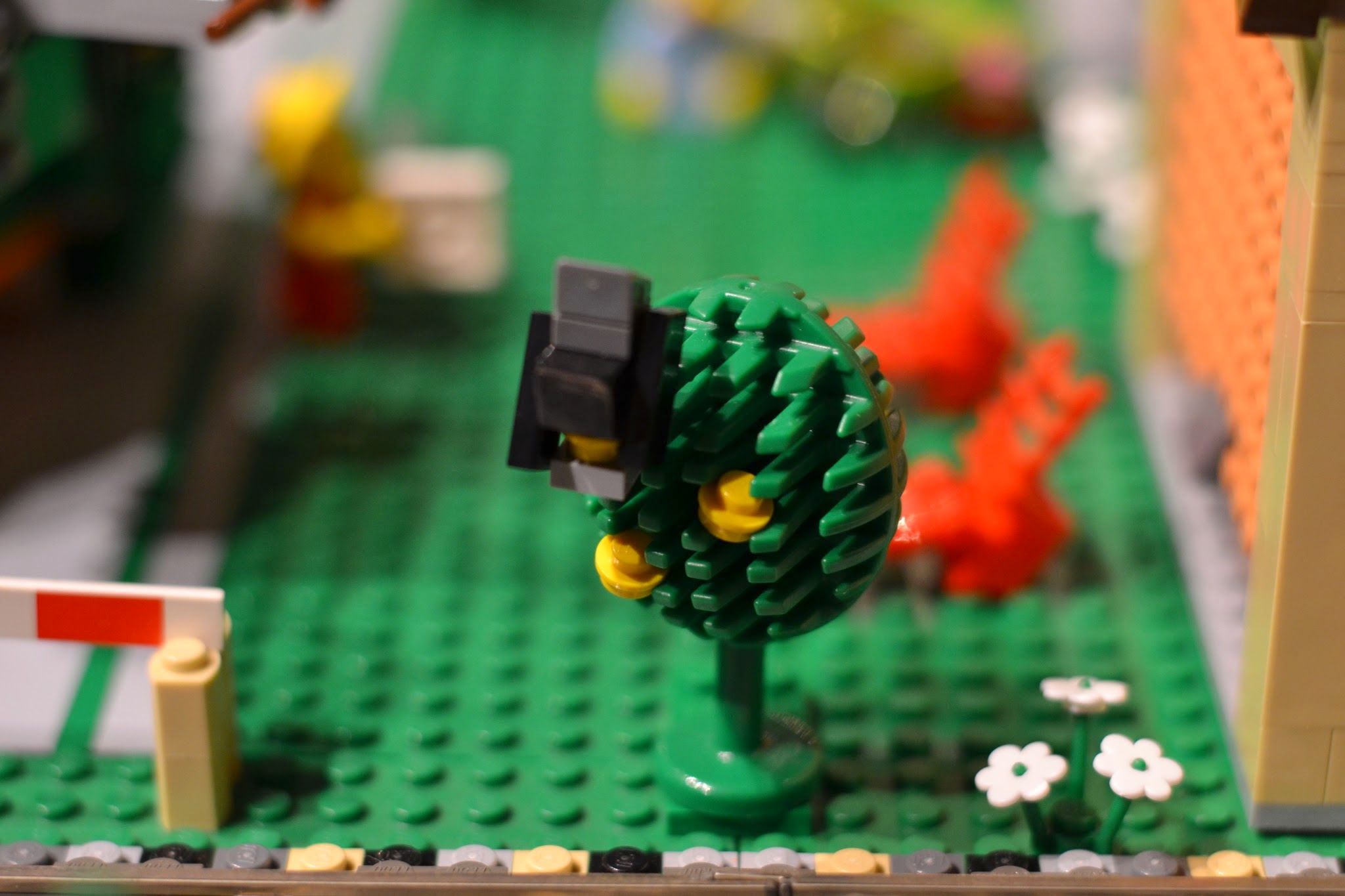 A Partridge in a Pear Tree